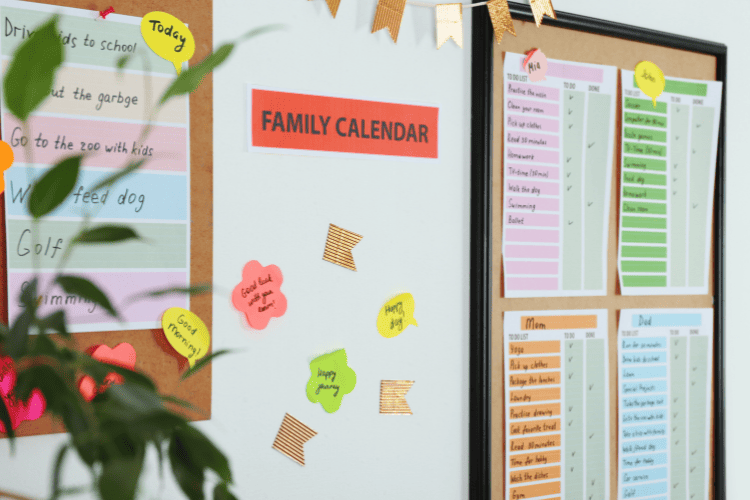 31 Brilliant Back to School Organization Tips for Moms - Organized ...